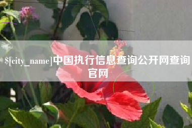 北京中国执行信息查询公开网查询官网