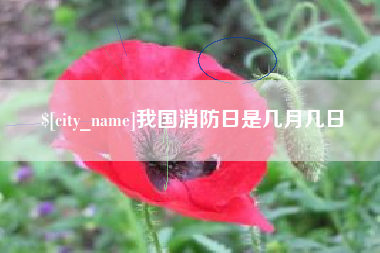 北京我国消防日是几月几日