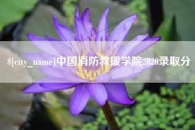 北京中国消防救援学院2020录取分