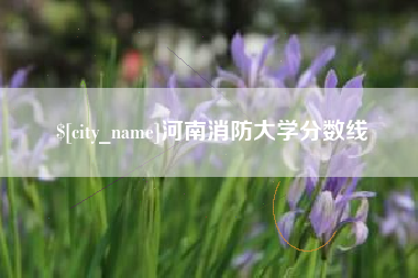 北京河南消防大学分数线