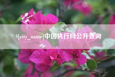 北京中国执行网公开查询