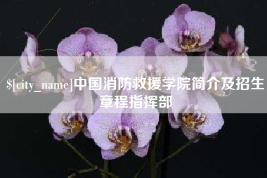 北京中国消防救援学院简介及招生章程指挥部