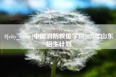 北京中国消防救援学院2021年山东招生计划