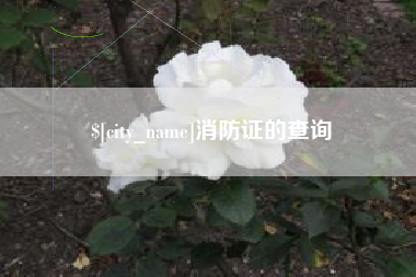 北京消防证的查询