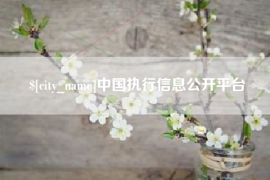 北京中国执行信息公开平台