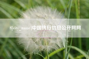 北京中国执行信息公开网网