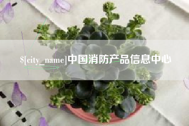 北京中国消防产品信息中心