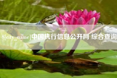 北京中国执行信息公开网 综合查询