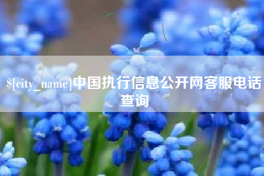 北京中国执行信息公开网客服电话查询