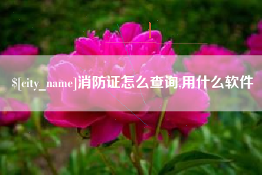 北京消防证怎么查询,用什么软件