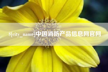 北京中国消防产品信息网官网