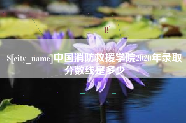 北京中国消防救援学院2020年录取分数线是多少