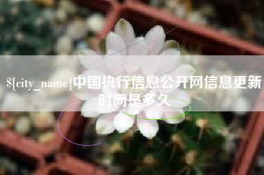 北京中国执行信息公开网信息更新时间是多久