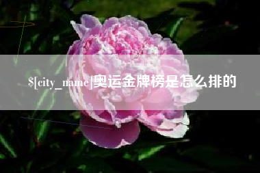 北京奥运金牌榜是怎么排的