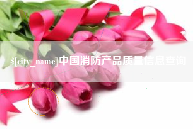 北京中国消防产品质量信息查询