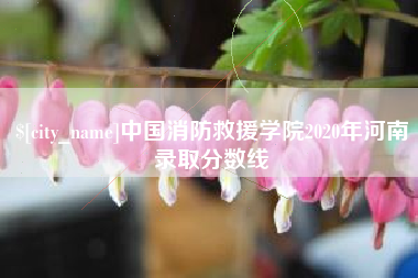 北京中国消防救援学院2020年河南录取分数线