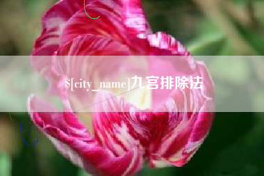 北京九宫排除法