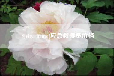 北京应急救援员价格