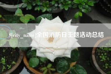 北京全国消防日主题活动总结