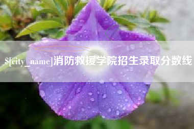 北京消防救援学院招生录取分数线