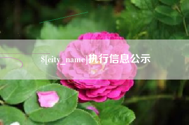 北京执行信息公示