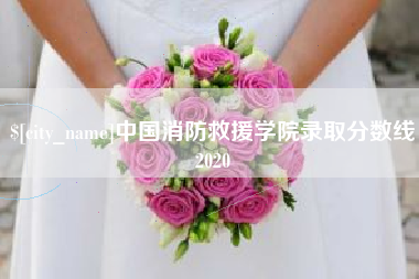 北京中国消防救援学院录取分数线2020
