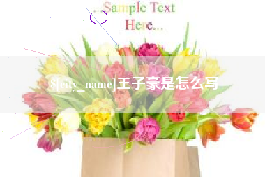 北京王子豪是怎么写