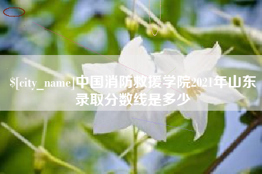 北京中国消防救援学院2021年山东录取分数线是多少