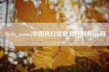 北京中国执行信息公开网有app吗