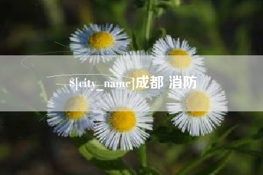北京成都 消防