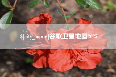 北京谷歌卫星地图2025