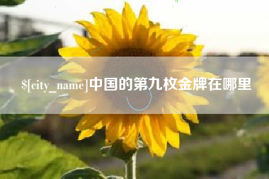 北京中国的第九枚金牌在哪里