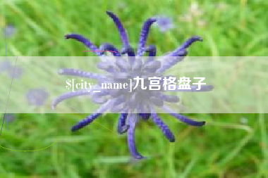 北京九宫格盘子