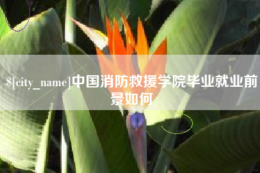 北京中国消防救援学院毕业就业前景如何