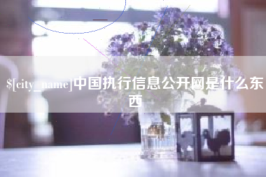 北京中国执行信息公开网是什么东西