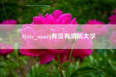 北京有没有消防大学