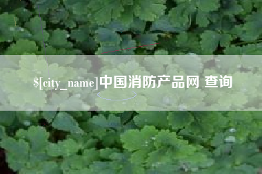 北京中国消防产品网 查询