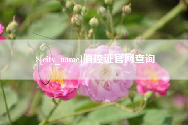 北京消控证官网查询