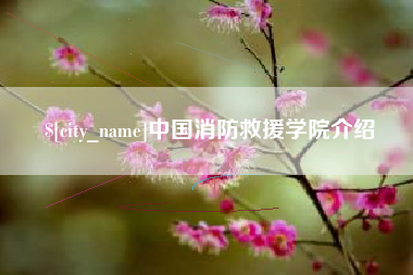 北京中国消防救援学院介绍