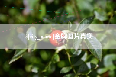 北京金牌图片真实
