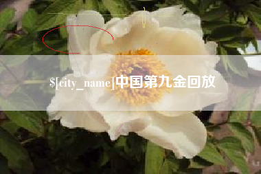 北京中国第九金回放