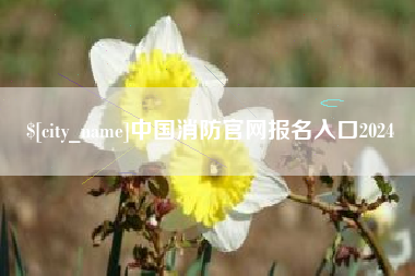 北京中国消防官网报名入口2024
