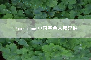 北京中国夺金大项是谁