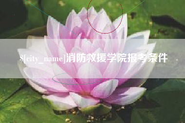 北京消防救援学院报考条件