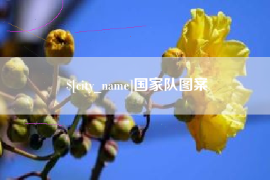 北京国家队图案
