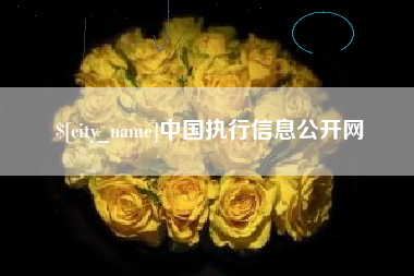 北京中国执行信息公开网