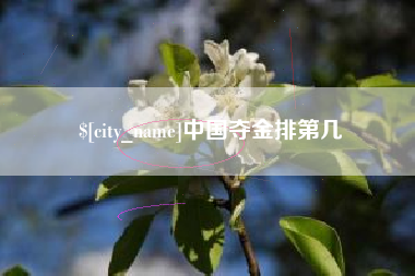 北京中国夺金排第几