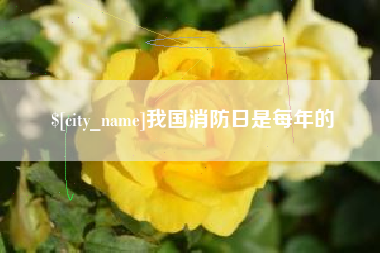 北京我国消防日是每年的