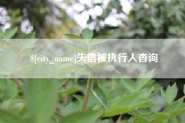 北京失信被执行人杳询