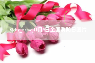北京11月9日全国消防日图片